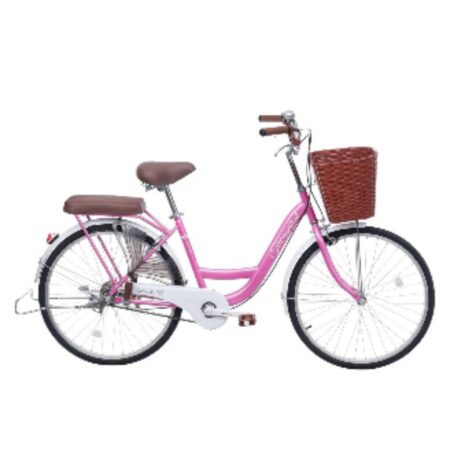Xe đạp Thống Nhất New 24