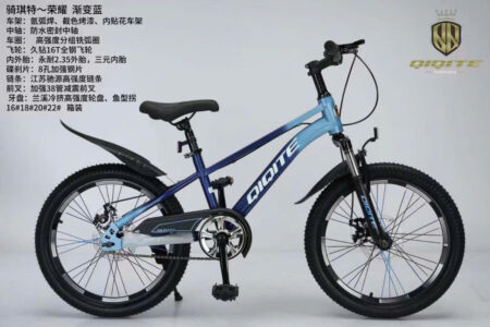 XE ĐẠP ĐĨA 20 HIỆU QQ DÀNH CHO NAM