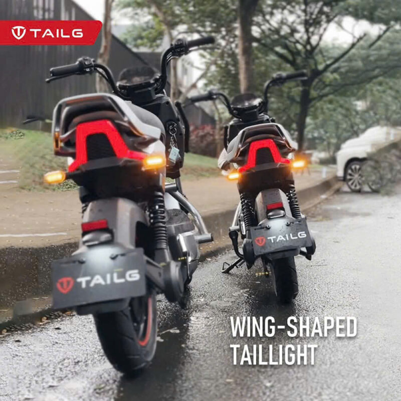 Xe đạp điện TAILG X51 - Image 3