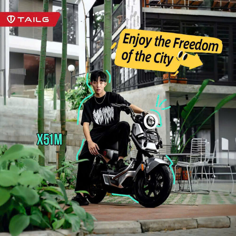 Xe đạp điện TAILG X51 - Image 5