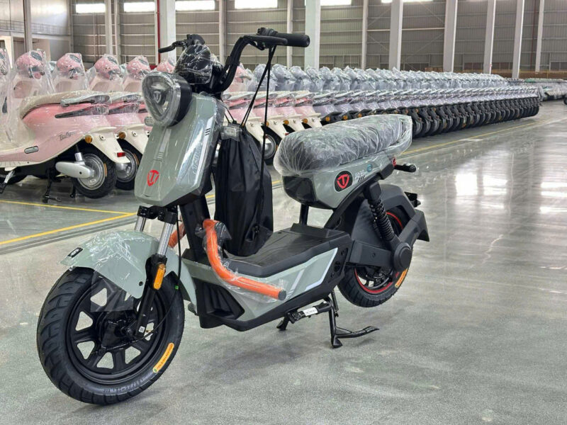 Xe đạp điện TAILG GX30 - Image 10