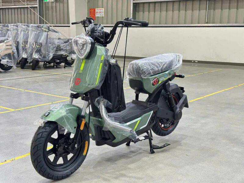 Xe đạp điện TAILG GX30 - Image 8