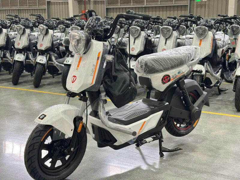 Xe đạp điện TAILG GX30 - Image 7