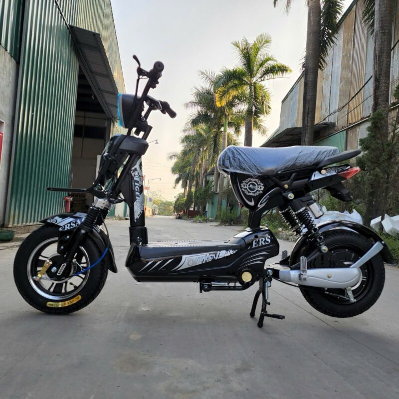 Xe Đạp Điện Tiger Veraces - Image 2