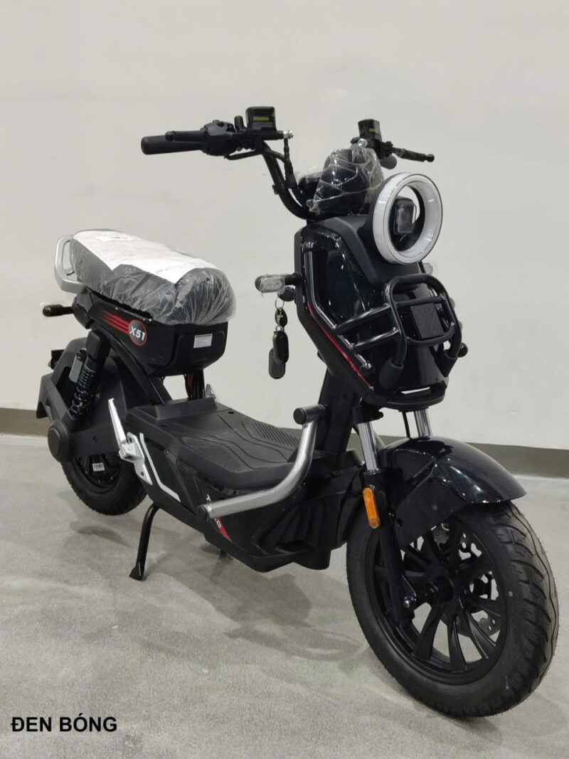 Xe đạp điện TAILG X51 - Image 8