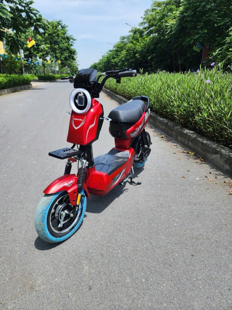 XE 20A XBULL - Image 5