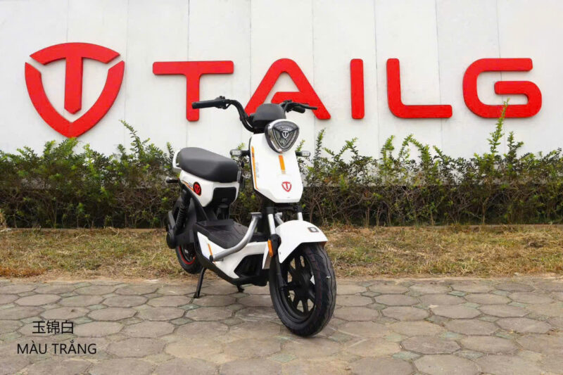 Xe đạp điện TAILG GX30 - Image 4