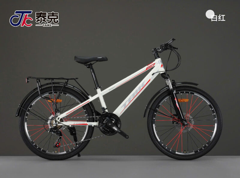 Xe Đạp Đề 24 Hiệu Taik Dành Cho Nam - Image 3