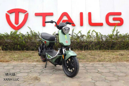 Xe đạp điện TAILG GX30
