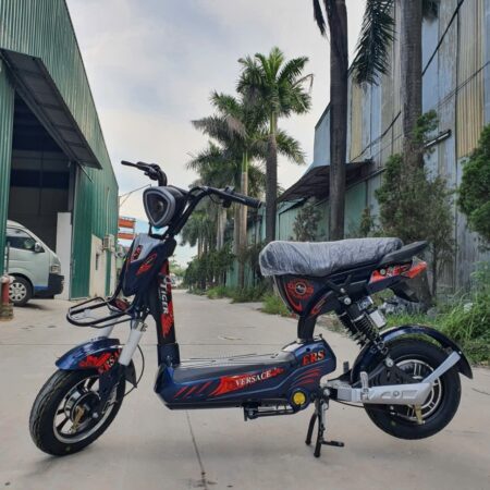 Xe Đạp Điện Tiger Veraces