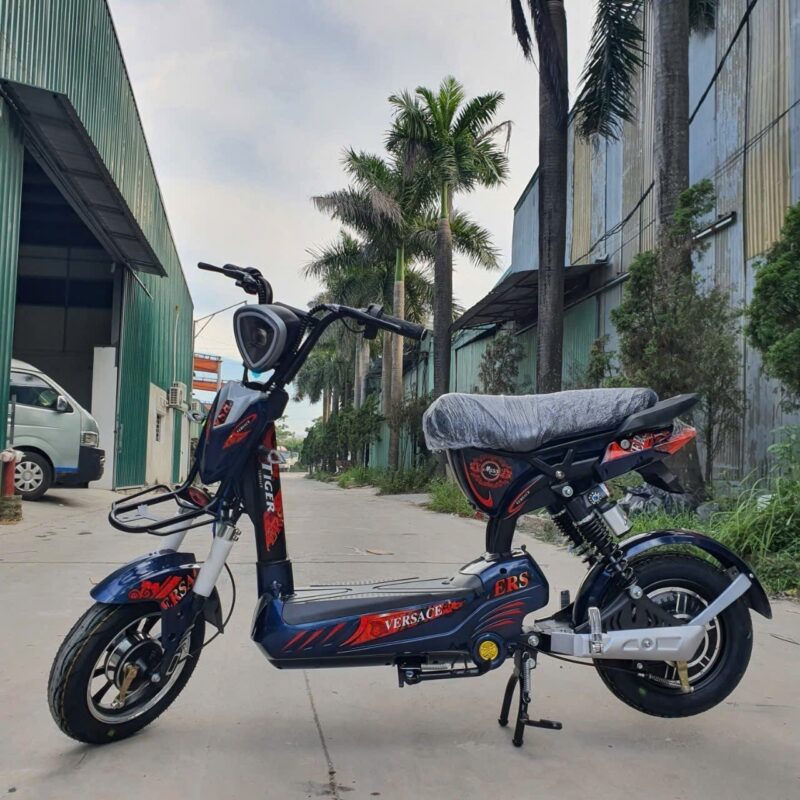 Xe Đạp Điện Tiger Veraces