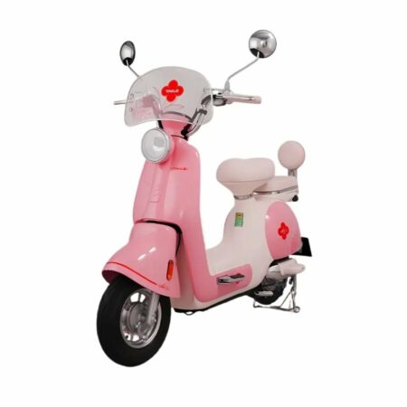 XE ĐIỆN TAILG JS50