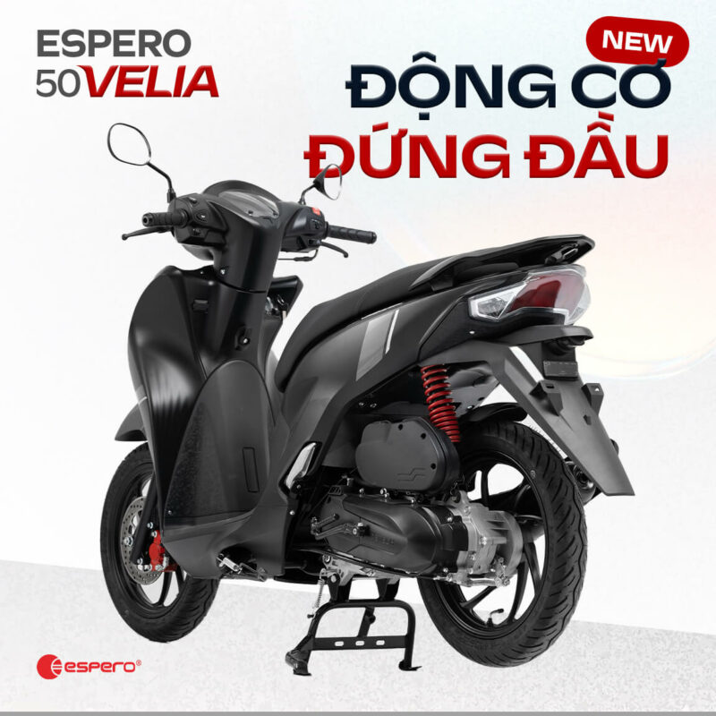 XE XĂNG 50CC ESPERO VELIA - Image 5