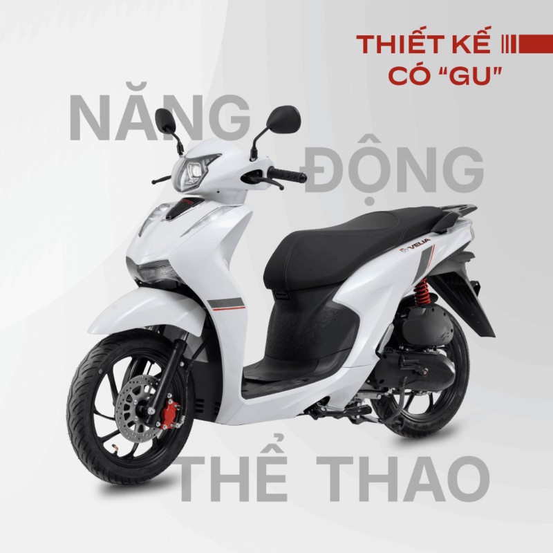 XE XĂNG 50CC ESPERO VELIA - Image 4