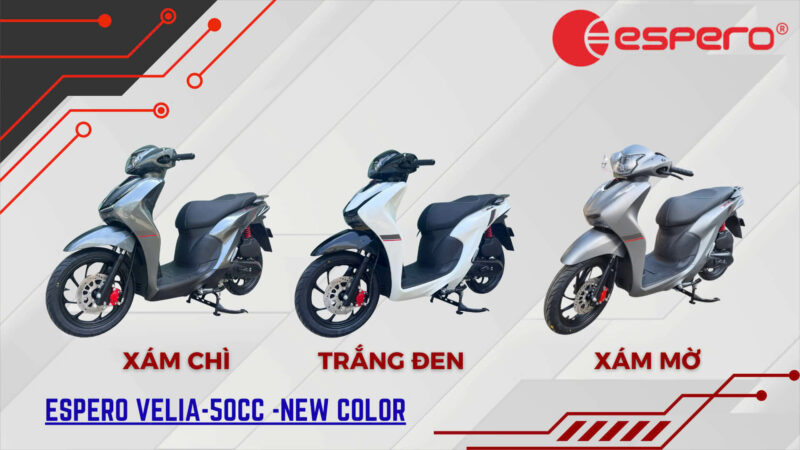 XE XĂNG 50CC ESPERO VELIA - Image 3