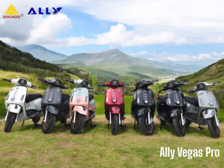 XE XĂNG 50CC ALLY VEGAS PRO