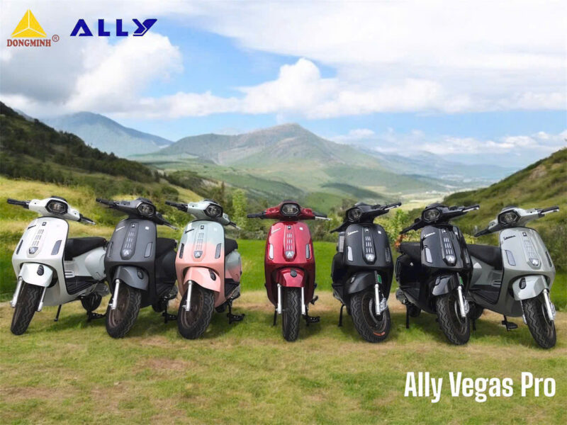 XE XĂNG 50CC ALLY VEGAS PRO