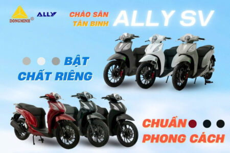 XE XĂNG 50CC ALLY SV